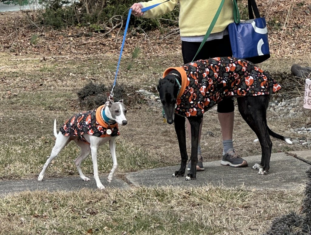 Mike and Ricky Bobby